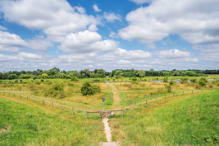 Foto 71 van Watermunt 144