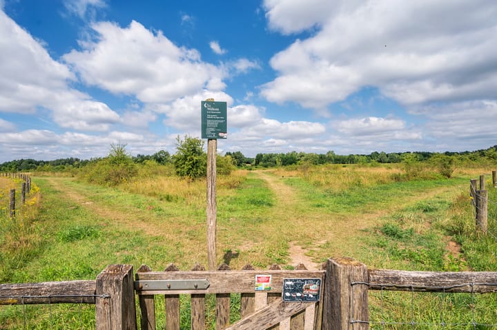 Foto 72 van Watermunt 144