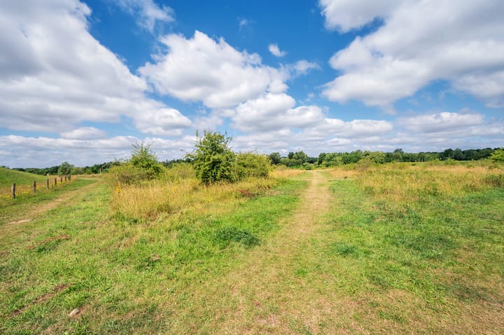 Foto 73 van Watermunt 144