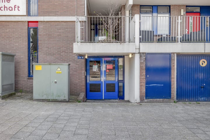 Foto 6 van Hannie Schaftrode 100