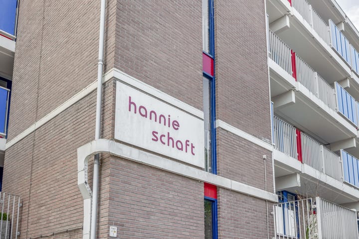 Foto 5 van Hannie Schaftrode 100