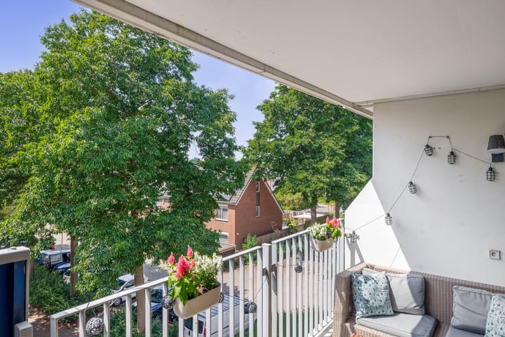 Foto 22 van Hannie Schaftrode 100