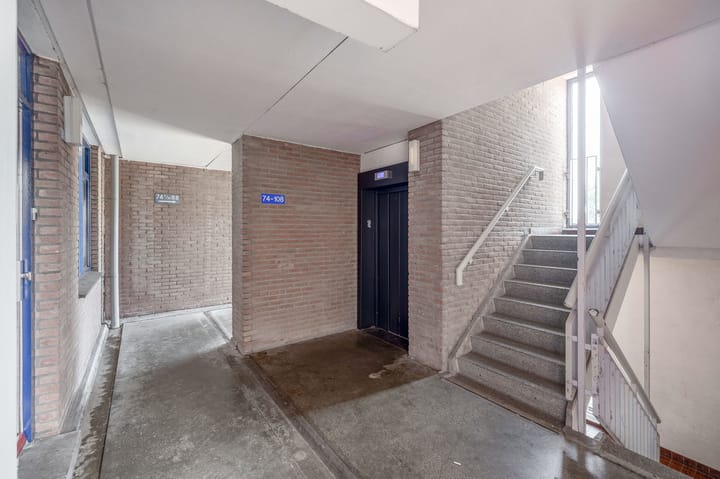 Foto 28 van Hannie Schaftrode 100