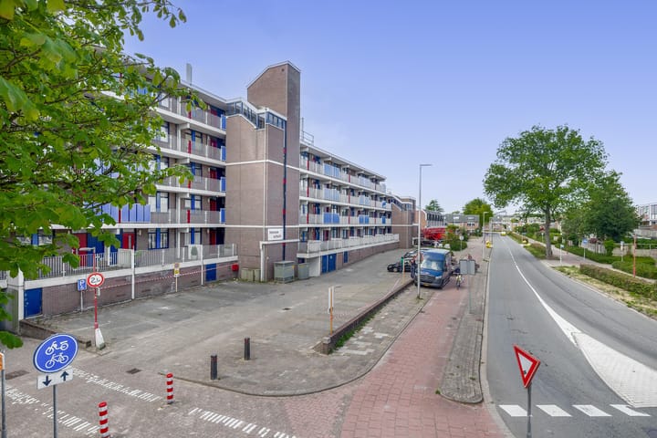 Foto 30 van Hannie Schaftrode 100