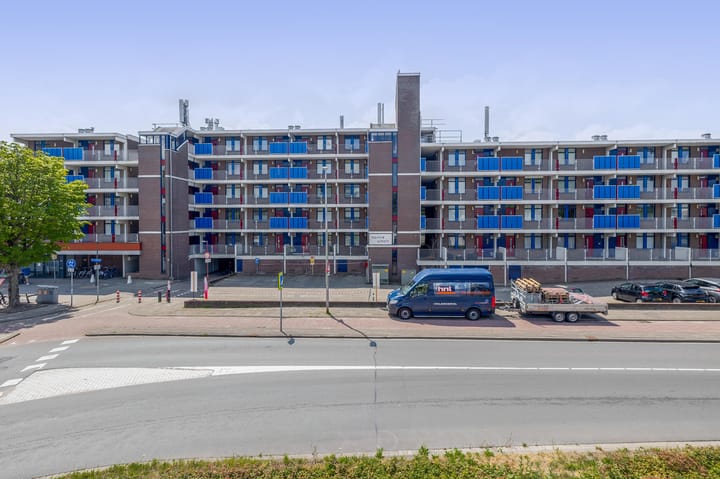 Foto 31 van Hannie Schaftrode 100