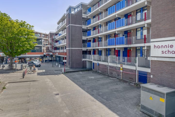 Foto 32 van Hannie Schaftrode 100