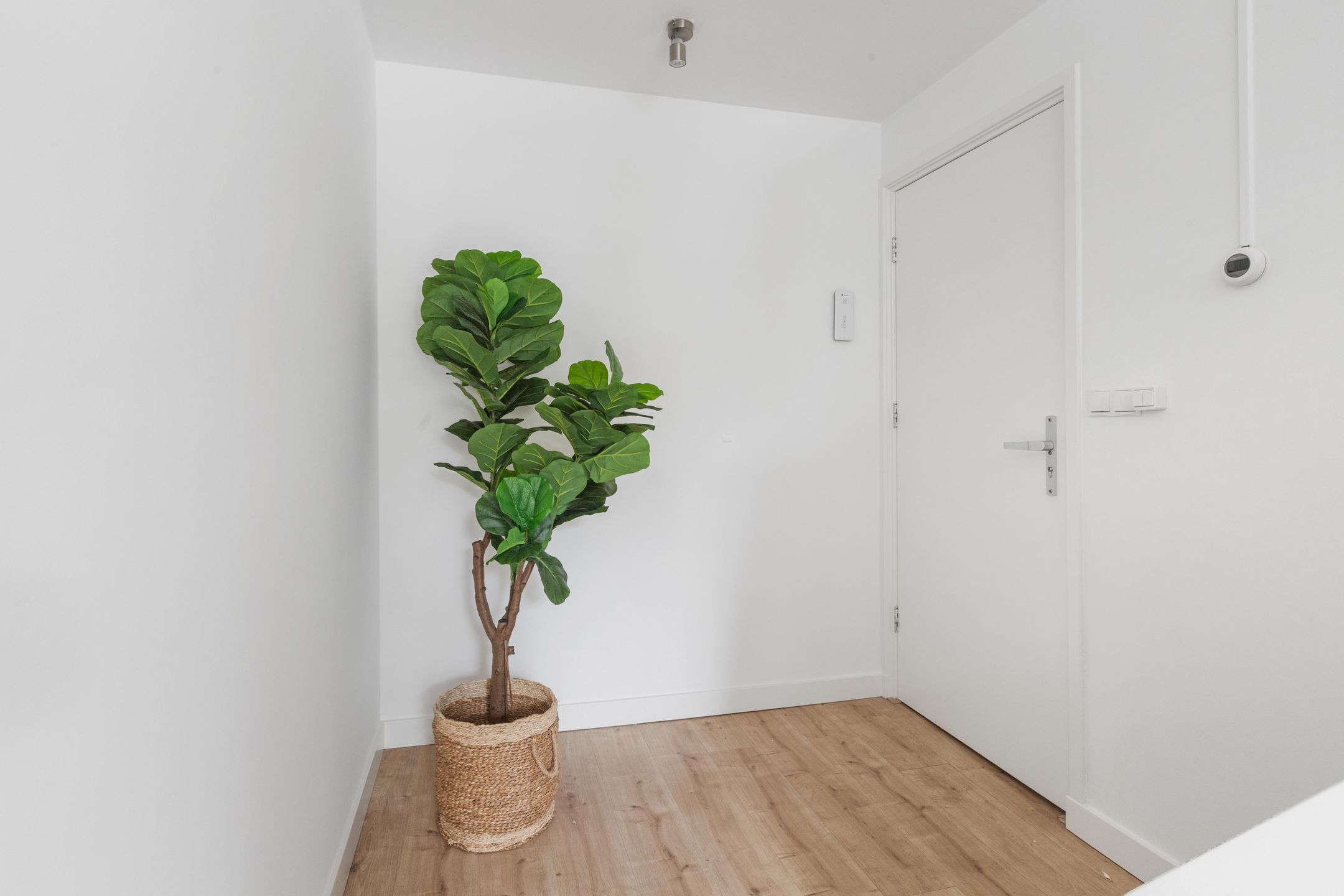 Foto 6 van Gedempte Nieuwesloot 67-A