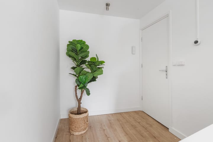 Photo 6 of Gedempte Nieuwesloot 67-A