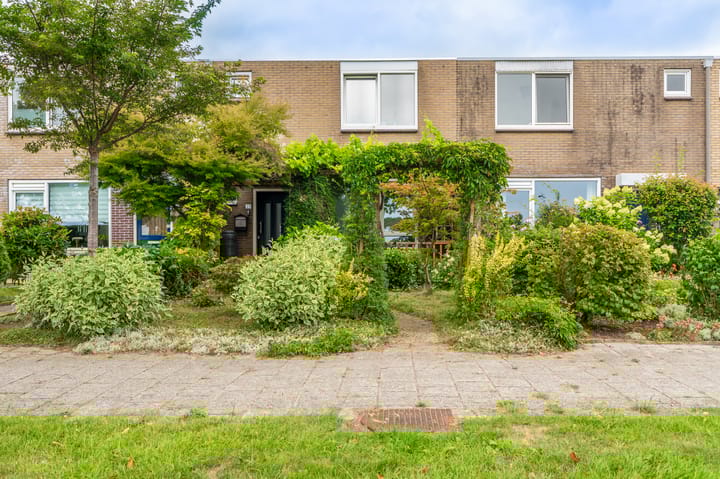 Zuiderkroon 23