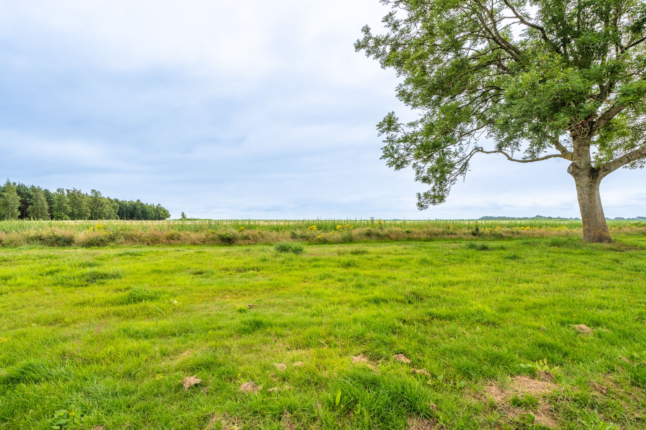 Foto 9 van Zuiderkroon 23