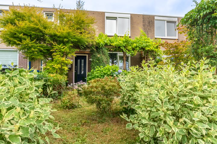 Foto 13 van Zuiderkroon 23