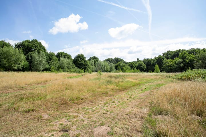 Foto 50 van Hofplein 92