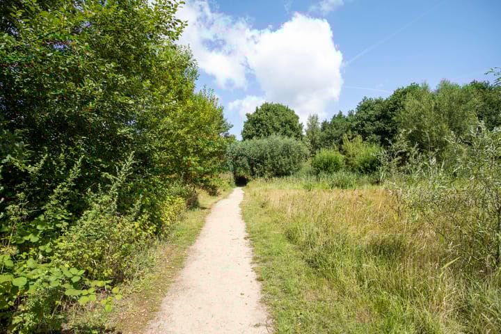 Foto 52 van Hofplein 92