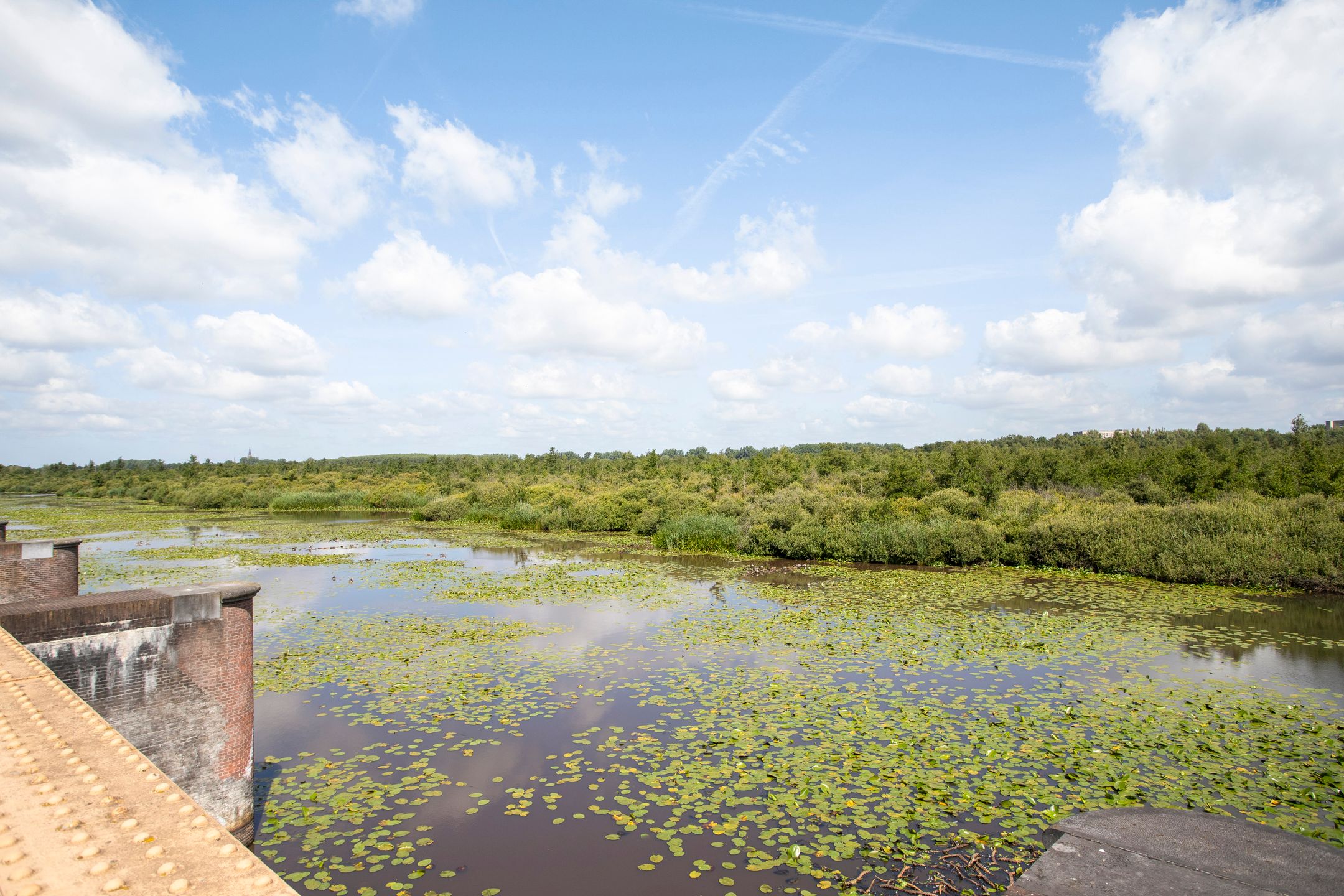 Wollefoppenweg 2 Rotterdam - Aanzicht 3