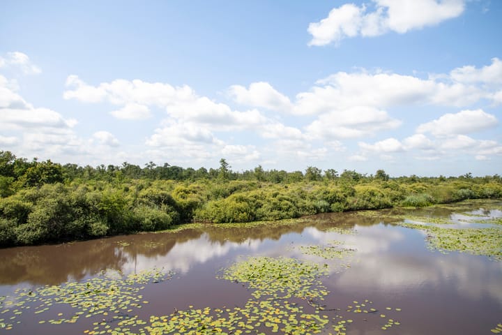 Foto 56 van Hofplein 92