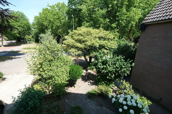 Foto 28 van Catharinadaal 100