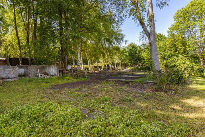 Foto 22 van Hoofdstraat 113