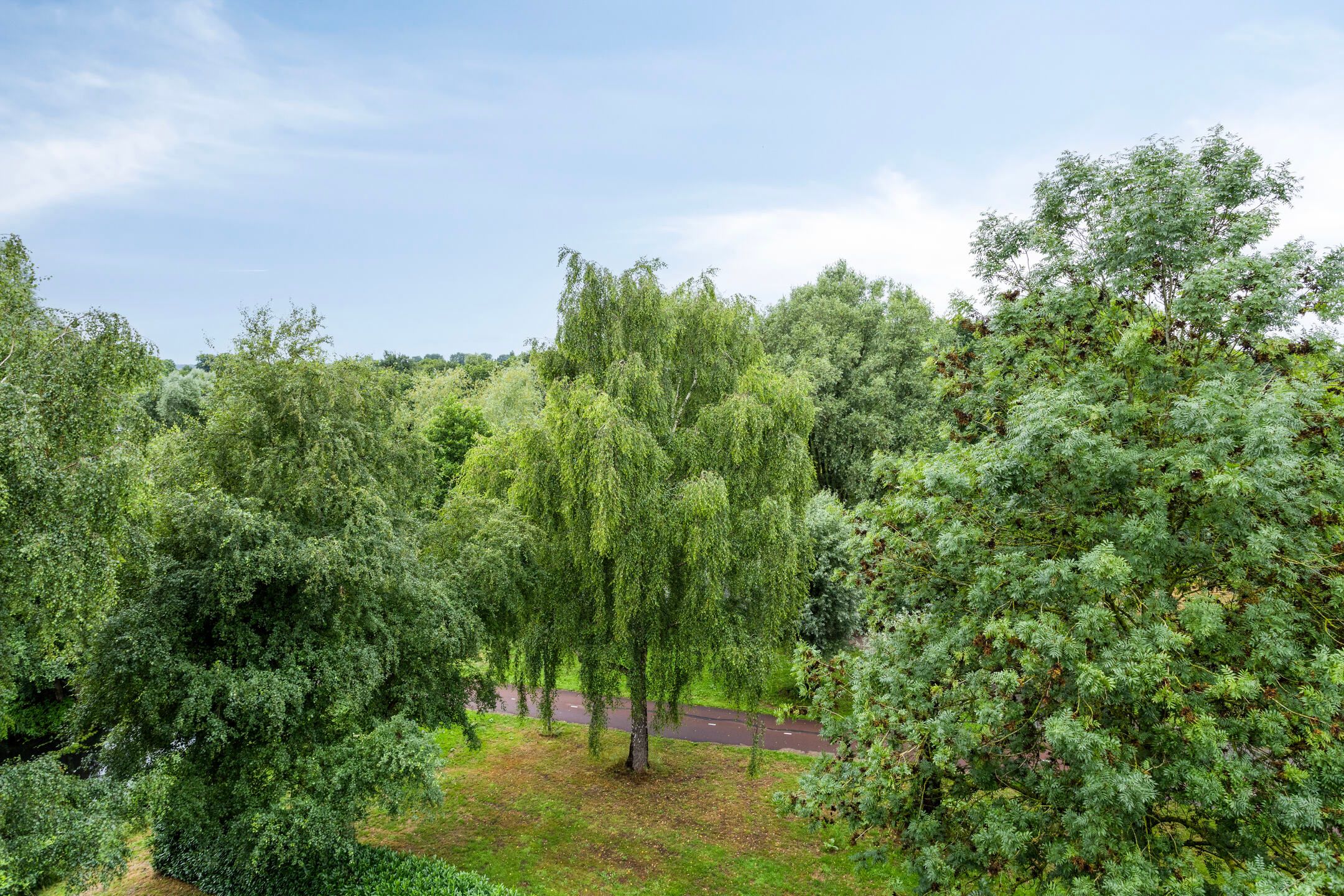 Photo 15 of A. Jacobsstraat 161