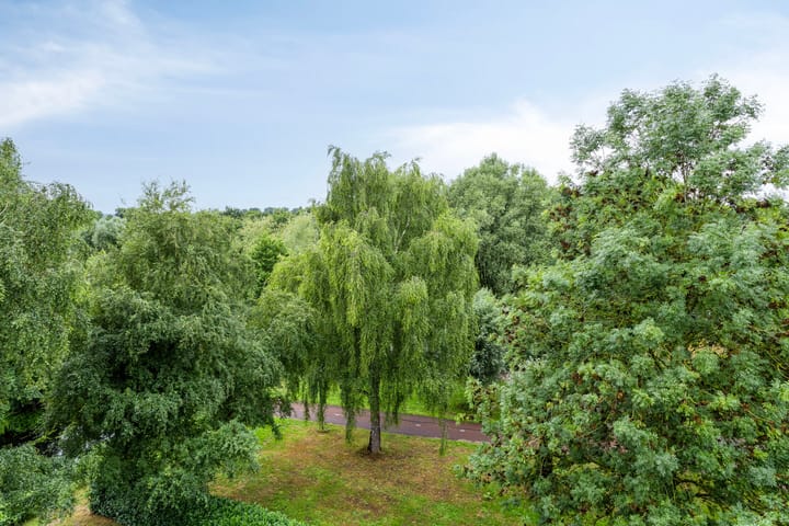 Foto 15 van A. Jacobsstraat 161