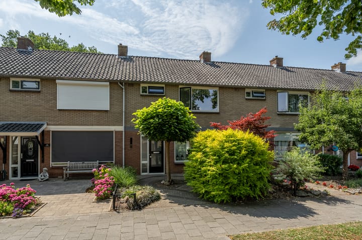 undefined main image