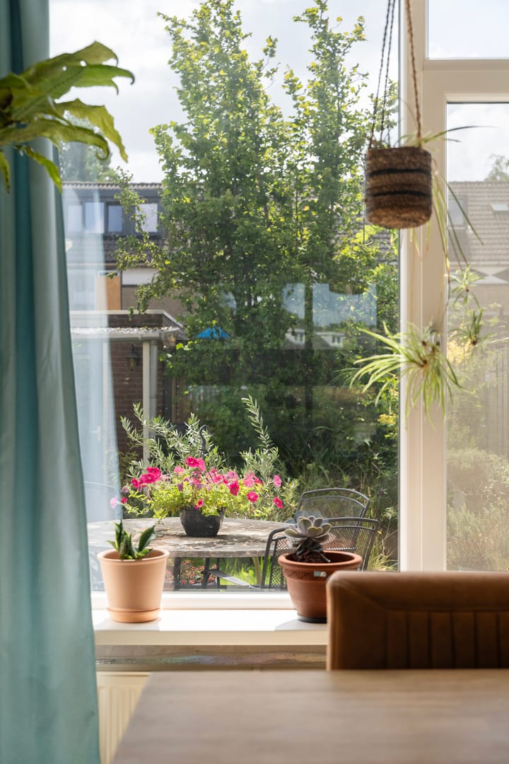 Foto 12 van Baarsveen 449