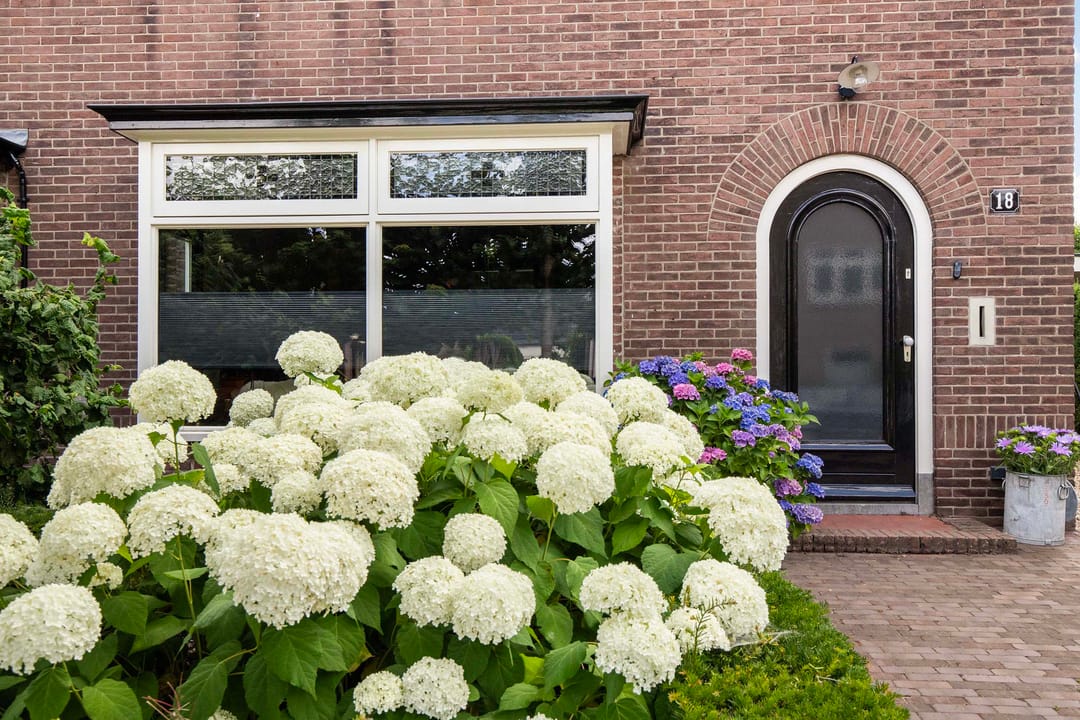 Foto 7 van Molenstraat 18