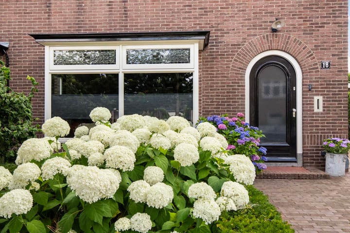 Foto 7 van Molenstraat 18