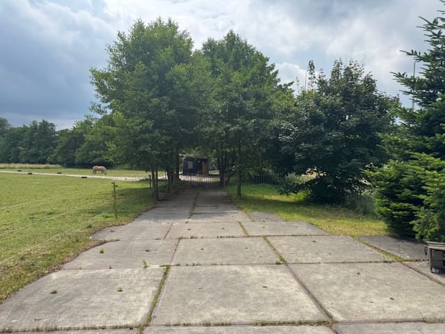 Bekijk foto 4 van Soestdijkerweg
