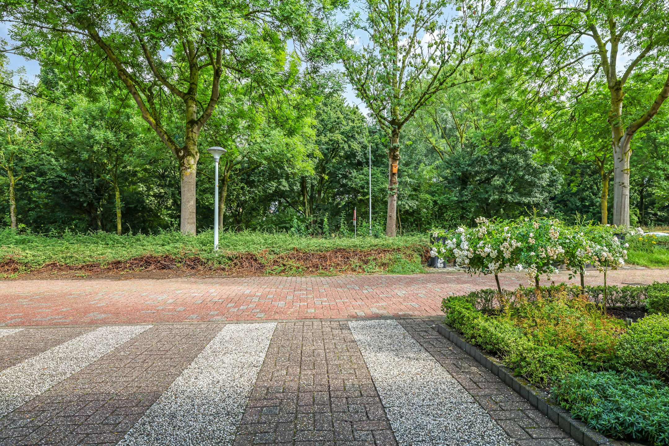 Foto 63 van Bastinglaan 58