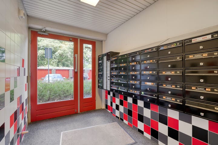 Foto 4 van Dierenriem 100