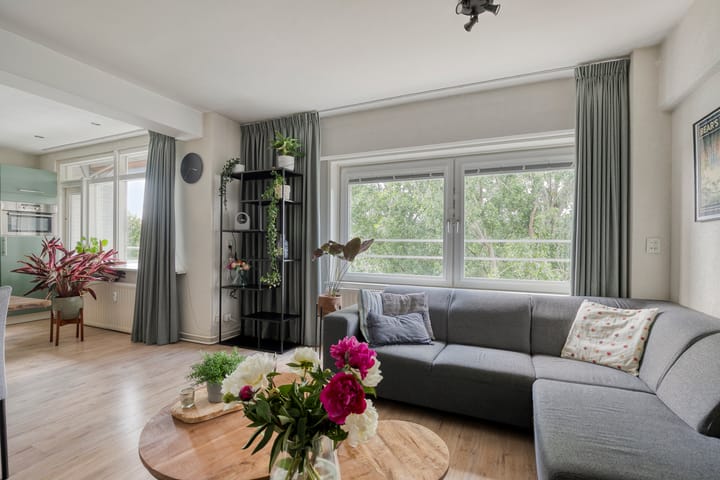 Foto 7 van Dierenriem 100