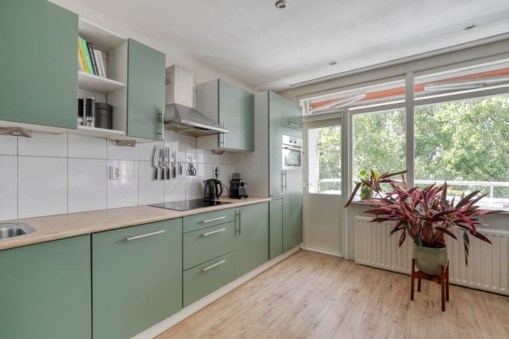 Foto 11 van Dierenriem 100