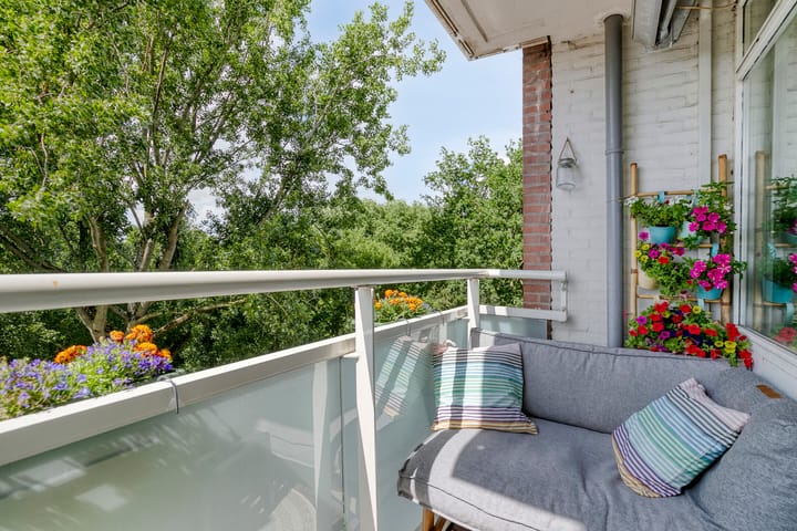 Foto 18 van Dierenriem 100