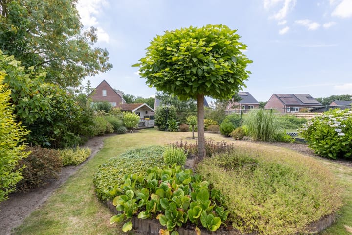 Foto 53 van Doktersstraat 13