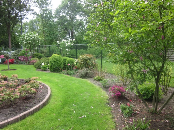 Foto 55 van Doktersstraat 13