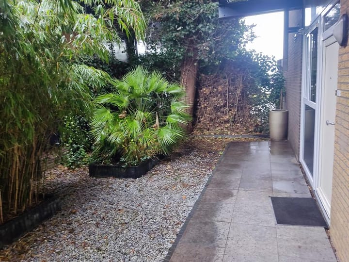 Foto 2 van Plantage 97