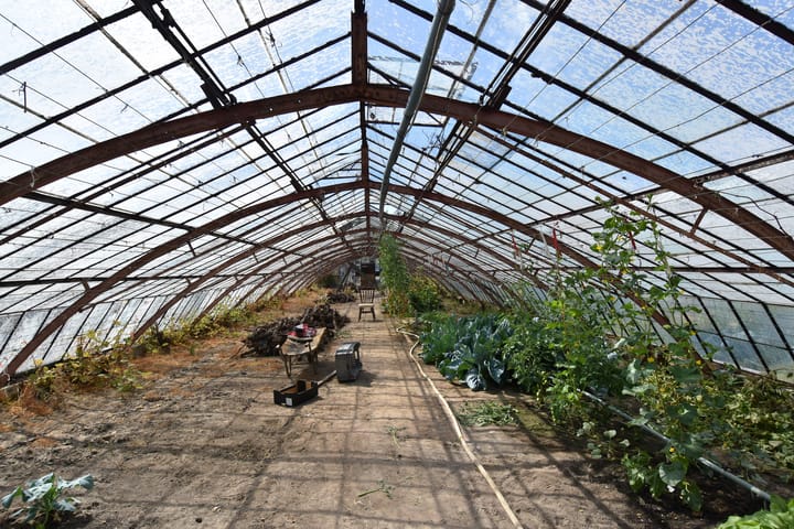 Foto 13 van Poeldijkseweg 14