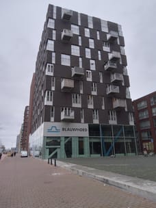 apartments for rent on Veembroederhof 220