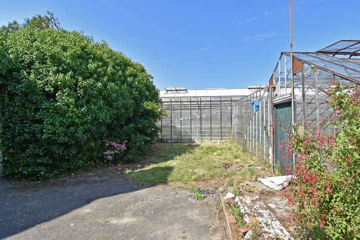 Foto 6 van Poeldijkseweg 14