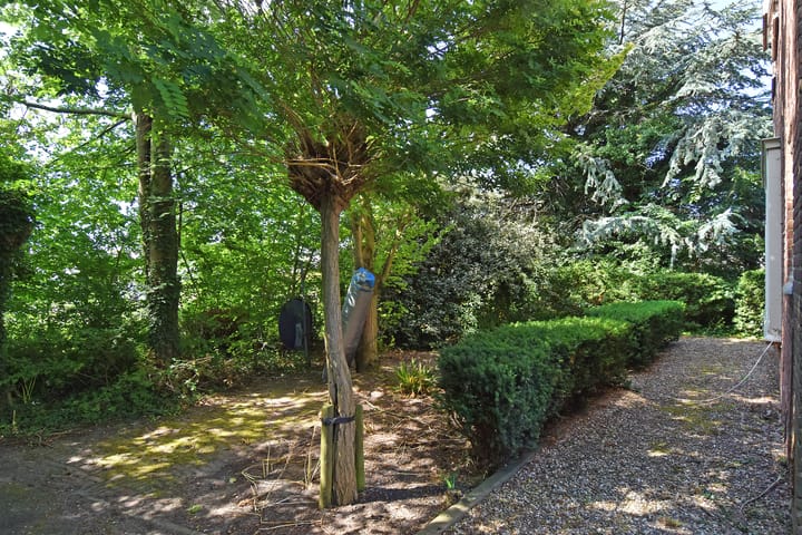 Photo 3 of Poeldijkseweg 14