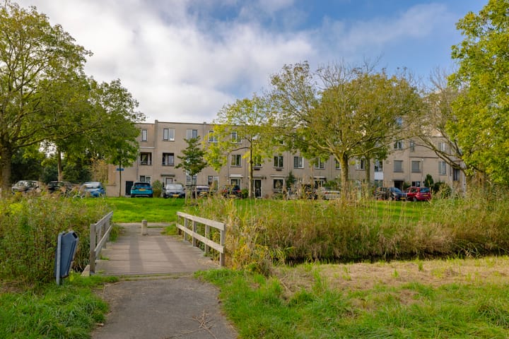 Foto 1 van Lutulistraat 46