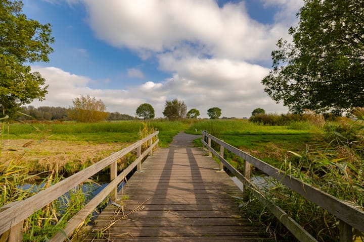 Foto 28 van Lutulistraat 46