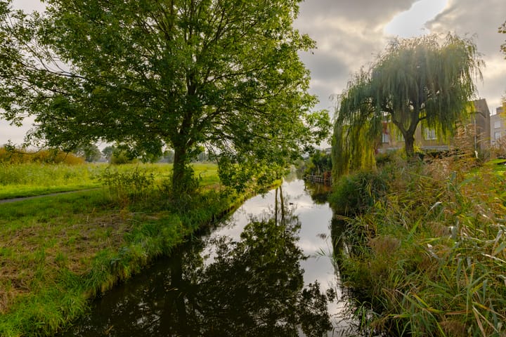 Foto 30 van Lutulistraat 46