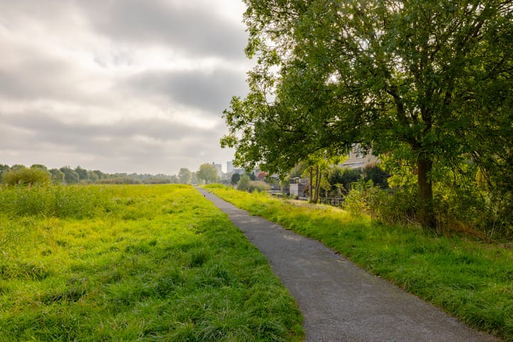 Foto 31 van Lutulistraat 46