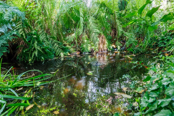 Foto 54 van Sleeweg 10