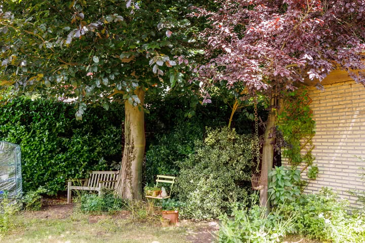 Foto 58 van Sleeweg 10