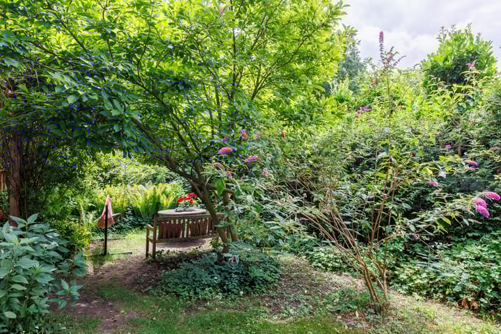 Foto 60 van Sleeweg 10