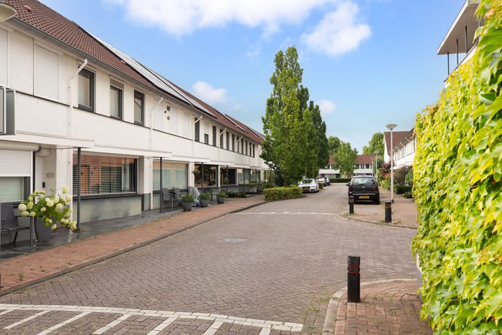 Foto 38 van Willem Alexanderhof 9