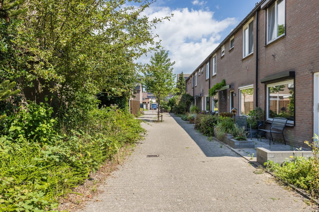 Foto 31 van Dokter Schreuderstraat 83