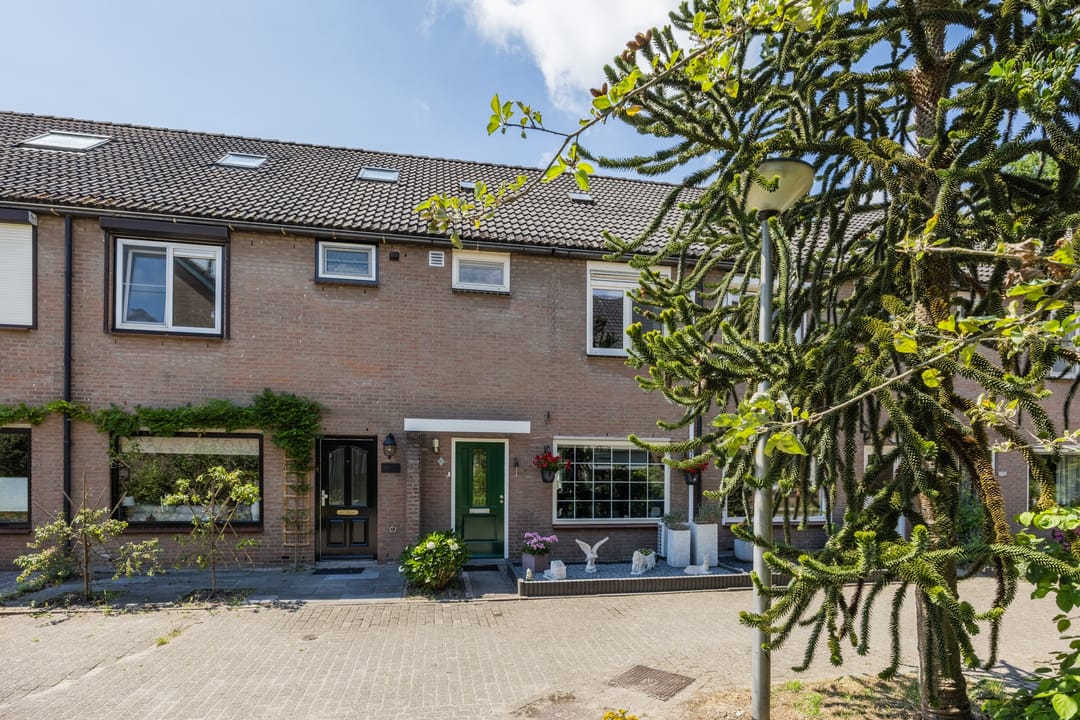 Foto 32 van Dokter Schreuderstraat 83